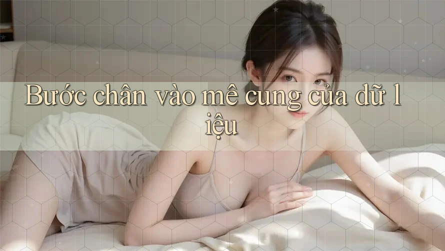 Bước chân vào mê cung của dữ liệu
