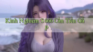kinh nghiệm s 666 cần tiền gấp