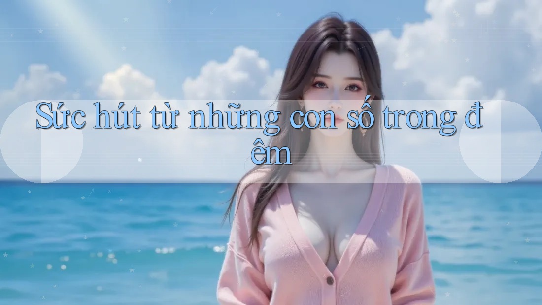 Sức hút từ những con số trong đêm