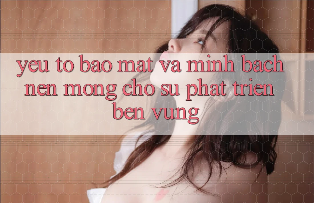 Yếu Tố Bảo Mật Và Minh bạch – Nền Móng Cho Sự Phát Triển Bền Vững