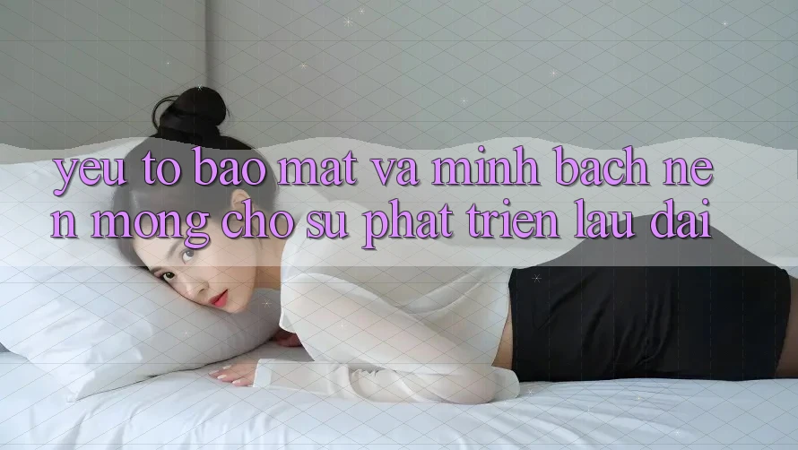 Yếu Tố Bảo Mật Và Minh bạch – Nền Móng Cho Sự Phát Triển Lâu dài
