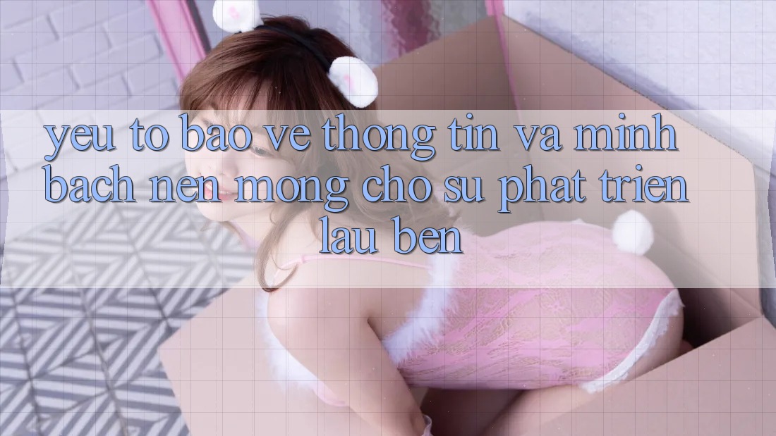 Yếu Tố Bảo vệ thông tin Và Minh bạch – Nền Móng Cho Sự Phát Triển Lâu bền